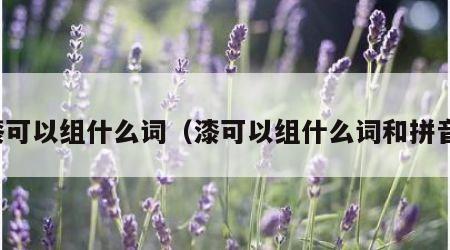 漆可以组什么词（漆可以组什么词和拼音）