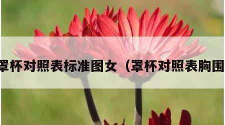 罩杯对照表标准图女（罩杯对照表胸围）