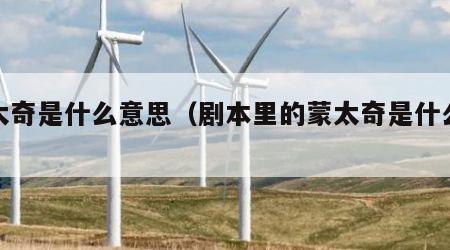 蒙太奇是什么意思（剧本里的蒙太奇是什么意思）