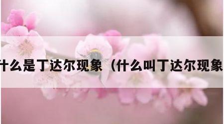 什么是丁达尔现象（什么叫丁达尔现象）