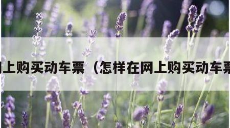 网上购买动车票（怎样在网上购买动车票）