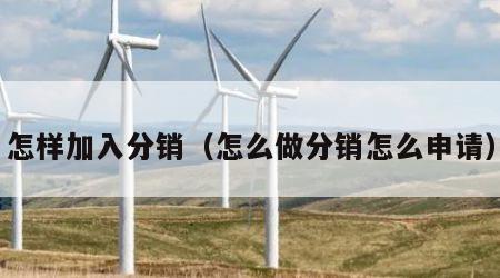 怎样加入分销（怎么做分销怎么申请）