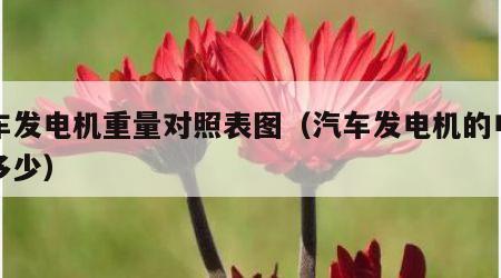汽车发电机重量对照表图（汽车发电机的电量是多少）