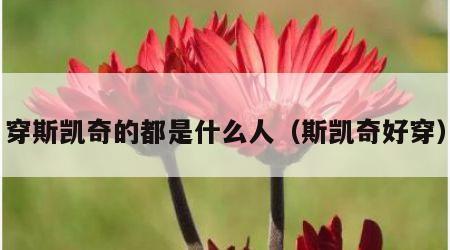穿斯凯奇的都是什么人（斯凯奇好穿）