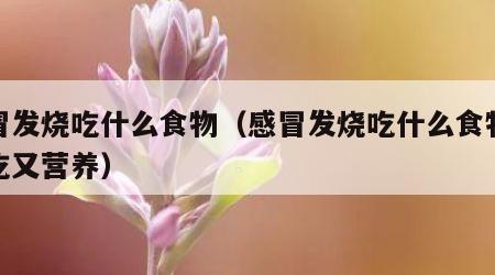 感冒发烧吃什么食物（感冒发烧吃什么食物又好吃又营养）
