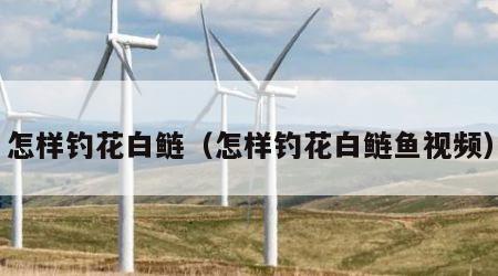 怎样钓花白鲢（怎样钓花白鲢鱼视频）
