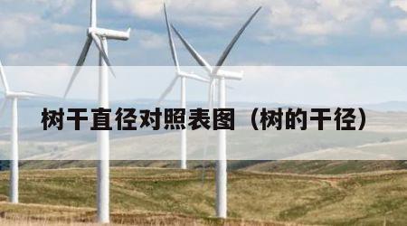 树干直径对照表图（树的干径）