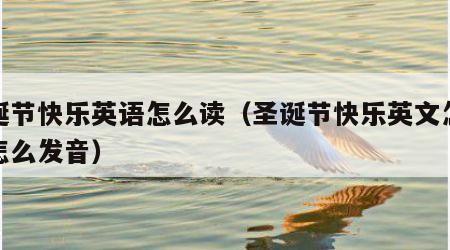 圣诞节快乐英语怎么读（圣诞节快乐英文怎么读怎么发音）