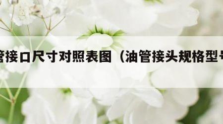 油管接口尺寸对照表图（油管接头规格型号大全）