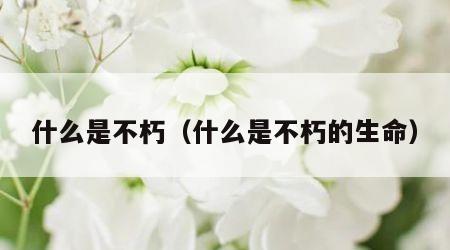 什么是不朽（什么是不朽的生命）
