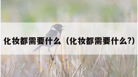 化妆都需要什么（化妆都需要什么?）