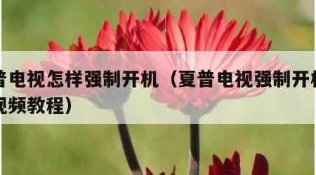 夏普电视怎样强制开机（夏普电视强制开机方法视频教程）