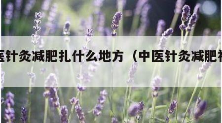 中医针灸减肥扎什么地方（中医针灸减肥视频）