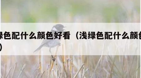 浅绿色配什么颜色好看（浅绿色配什么颜色好看?）
