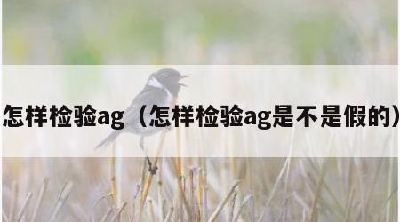 怎样检验ag（怎样检验ag是不是假的）