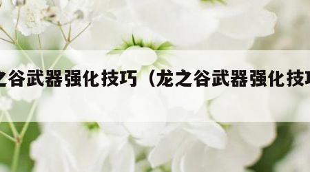 龙之谷武器强化技巧（龙之谷武器强化技巧攻略）