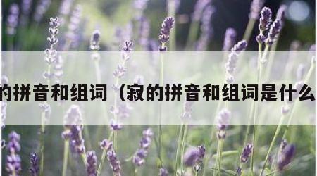 寂的拼音和组词（寂的拼音和组词是什么写）