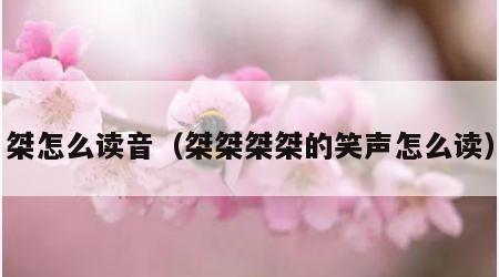 桀怎么读音（桀桀桀桀的笑声怎么读）
