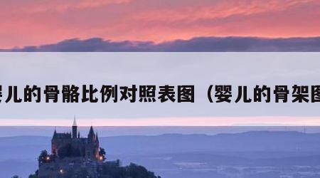 婴儿的骨骼比例对照表图（婴儿的骨架图）