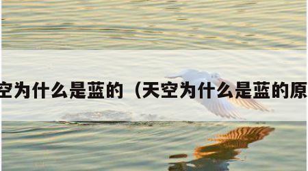 天空为什么是蓝的（天空为什么是蓝的原理）