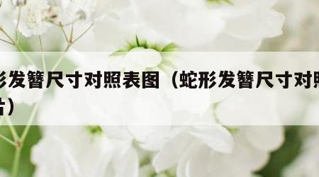 蛇形发簪尺寸对照表图（蛇形发簪尺寸对照表图片）