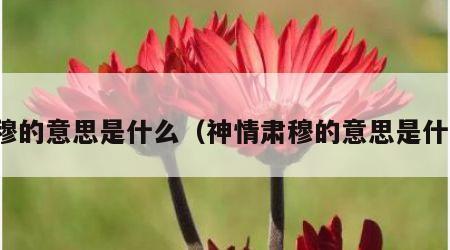 肃穆的意思是什么（神情肃穆的意思是什么）