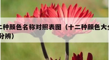十二种颜色名称对照表图（十二种颜色大全图片 分辨）