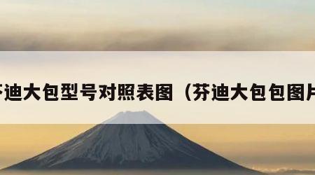 芬迪大包型号对照表图（芬迪大包包图片）