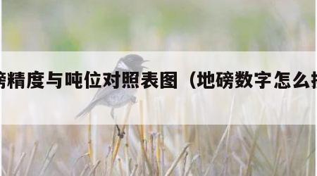 地磅精度与吨位对照表图（地磅数字怎么换算吨）