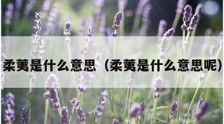 柔荑是什么意思（柔荑是什么意思呢）