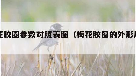 梅花胶圈参数对照表图（梅花胶圈的外形尺寸）