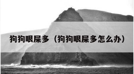狗狗眼屎多（狗狗眼屎多怎么办）