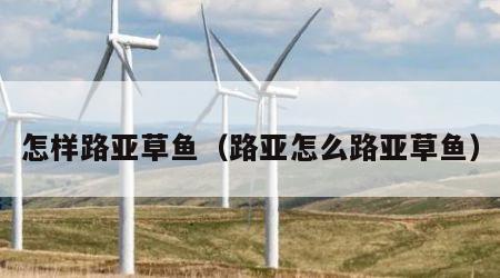 怎样路亚草鱼（路亚怎么路亚草鱼）