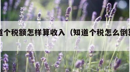 知道个税额怎样算收入（知道个税怎么倒算工资）