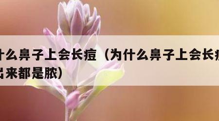 为什么鼻子上会长痘（为什么鼻子上会长痘痘挤出来都是脓）