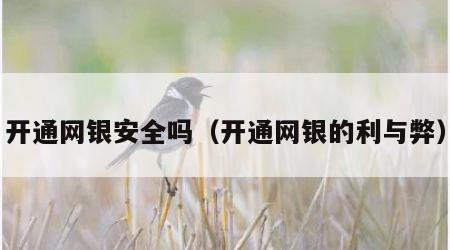 开通网银安全吗（开通网银的利与弊）