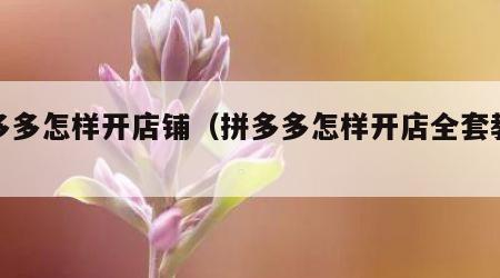 拼多多怎样开店铺（拼多多怎样开店全套教程）
