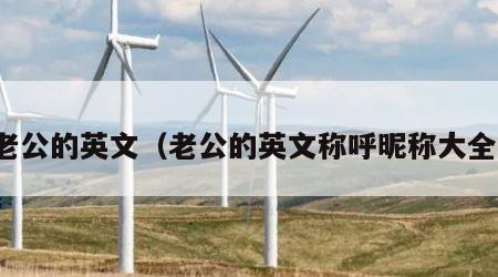 老公的英文（老公的英文称呼昵称大全）