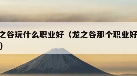龙之谷玩什么职业好（龙之谷那个职业好2020）
