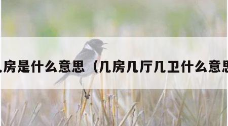 几房是什么意思（几房几厅几卫什么意思）