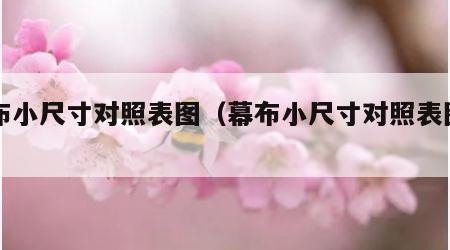 幕布小尺寸对照表图（幕布小尺寸对照表图片）