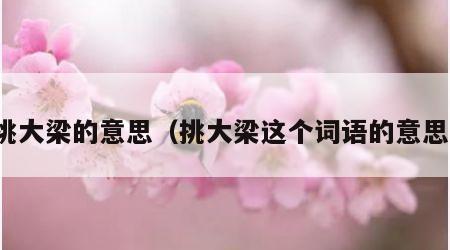 挑大梁的意思（挑大梁这个词语的意思）
