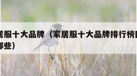 家居服十大品牌（家居服十大品牌排行榜国内有哪些）
