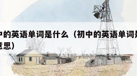 初中的英语单词是什么（初中的英语单词是什么意思）