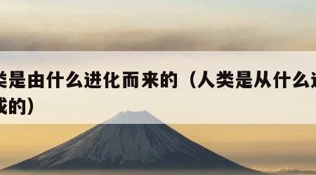 人类是由什么进化而来的（人类是从什么进化而成的）