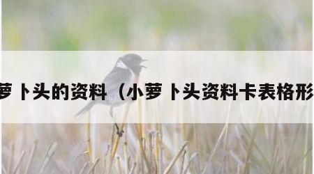小萝卜头的资料（小萝卜头资料卡表格形式）