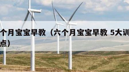 六个月宝宝早教（六个月宝宝早教 5大训练要点）