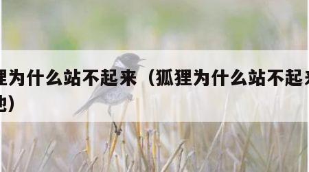 狐狸为什么站不起来（狐狸为什么站不起来因为他）