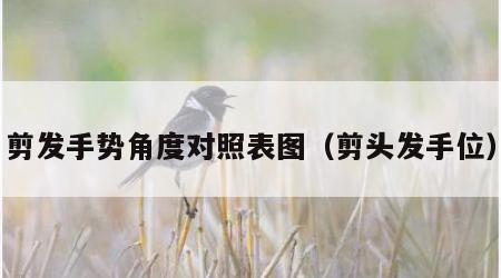 剪发手势角度对照表图（剪头发手位）