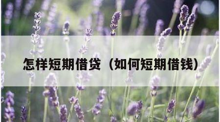 怎样短期借贷（如何短期借钱）